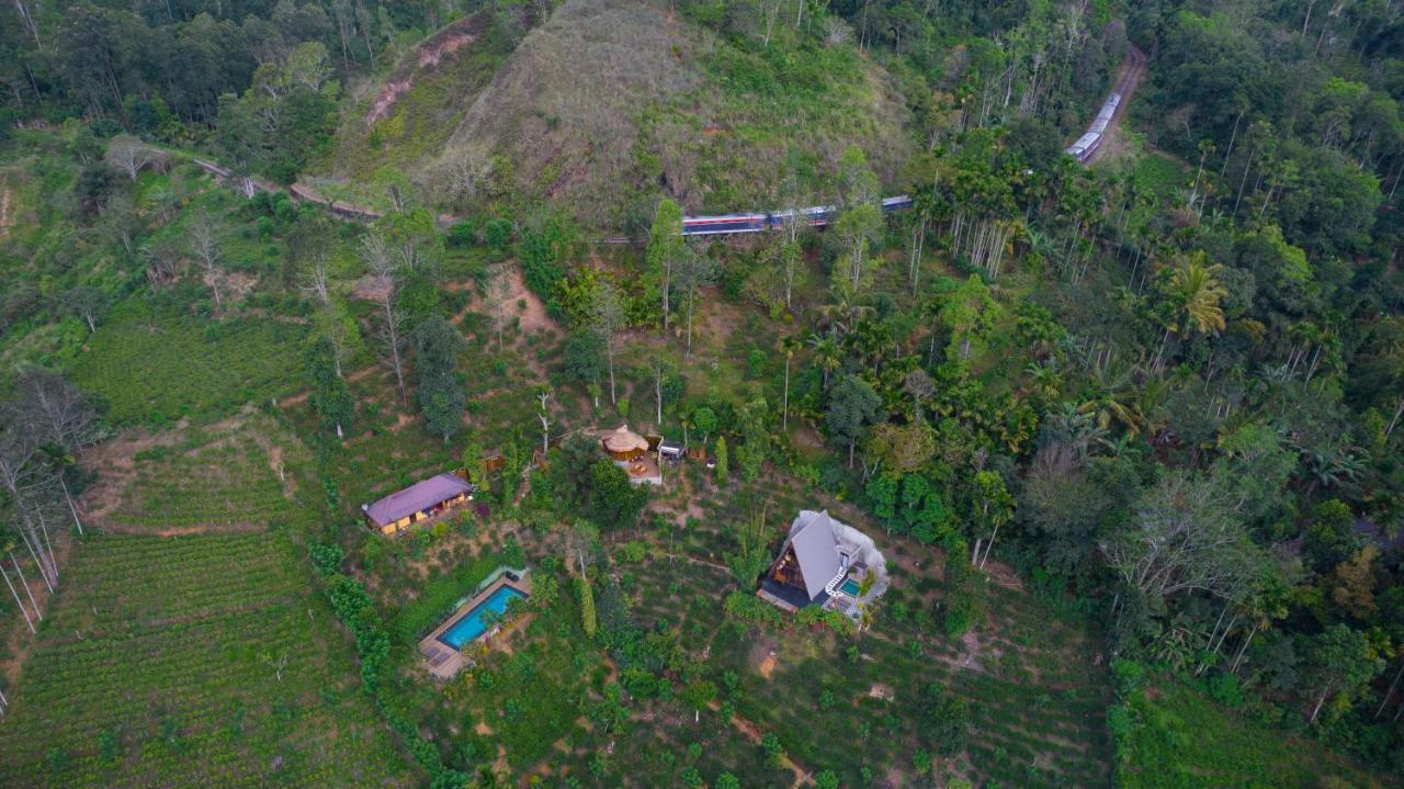 אלה Tea Cabins מראה חיצוני תמונה